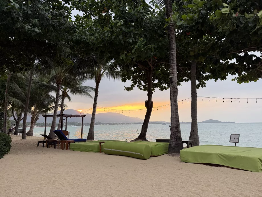 Пляж готелю з шезлонгами на заході сонця