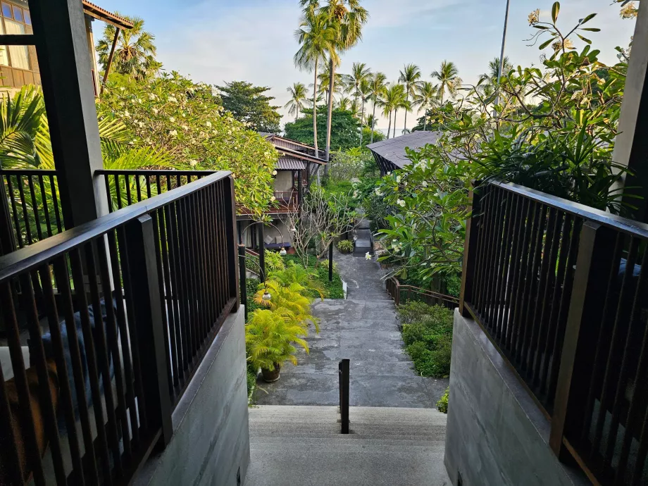 Хомм Чура Самуї, як видно з рецепції