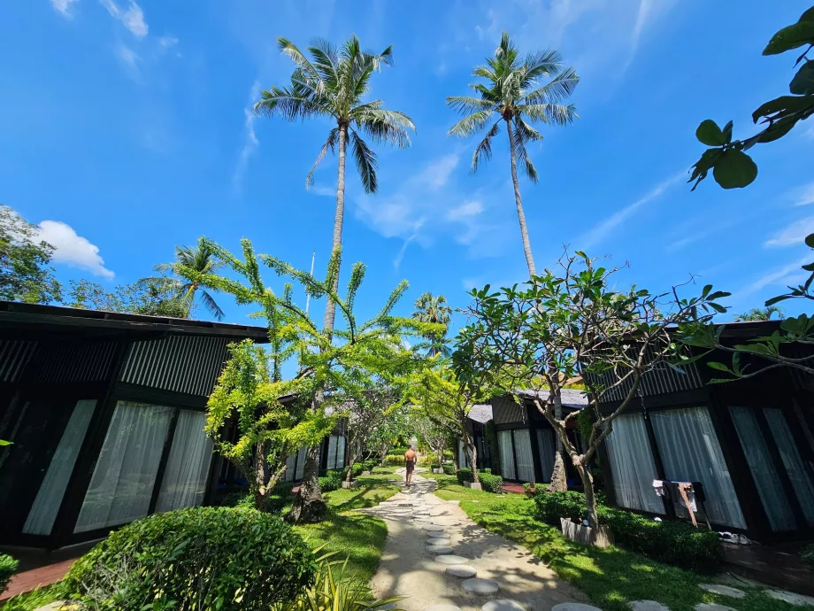 Район Хомм Чура