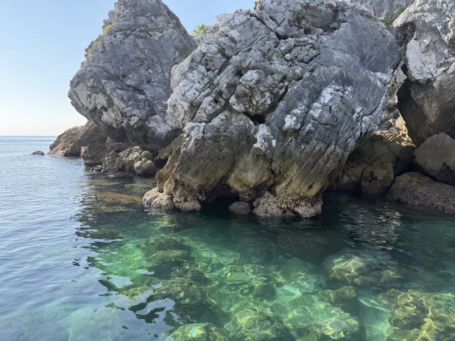 Місце для сноркелінгу