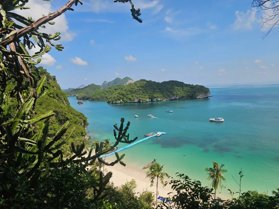 Стежка до найвищого оглядового майданчика