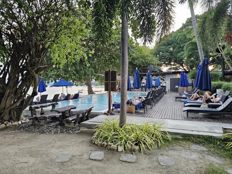 Басейн з шезлонгами