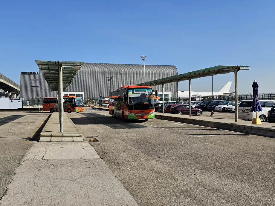 Безкоштовні автобуси зупиняються в основних готелях