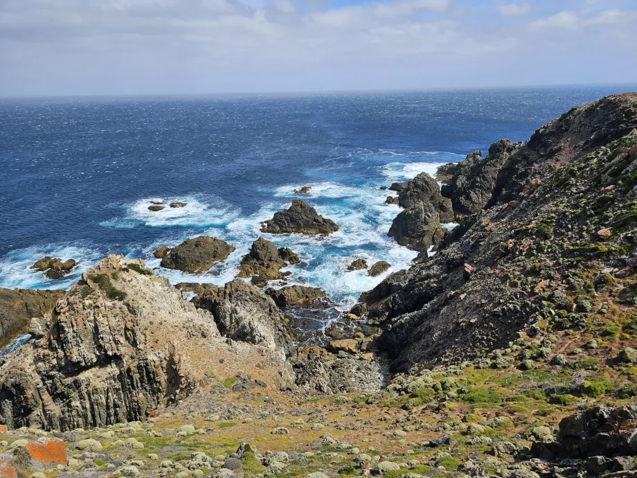 Скеля Seals Rock