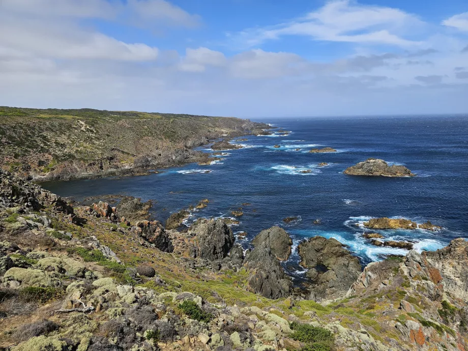 Скеля Seals Rock