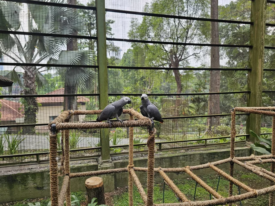 Парк птахів