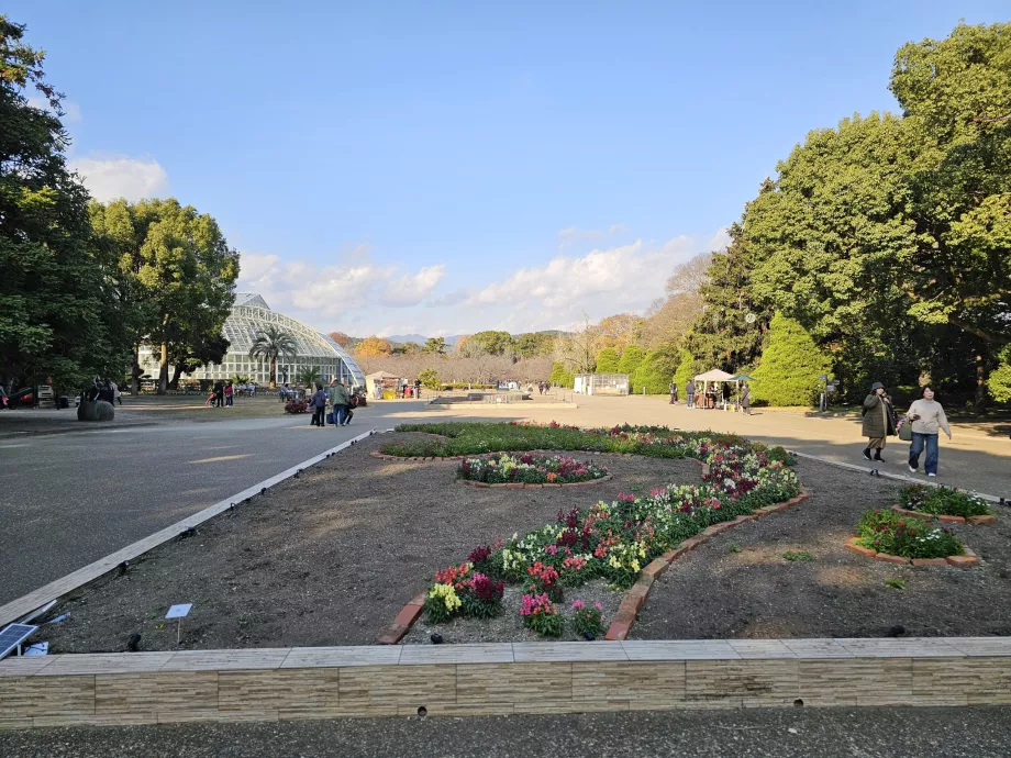 Ботанічний сад Кіото