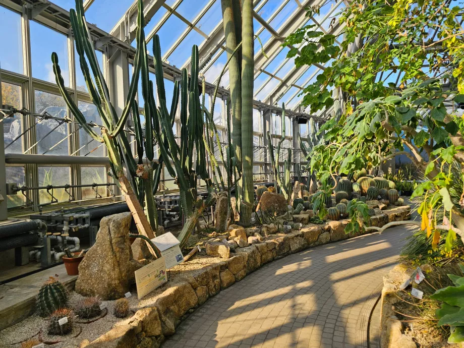 Ботанічний сад Кіото