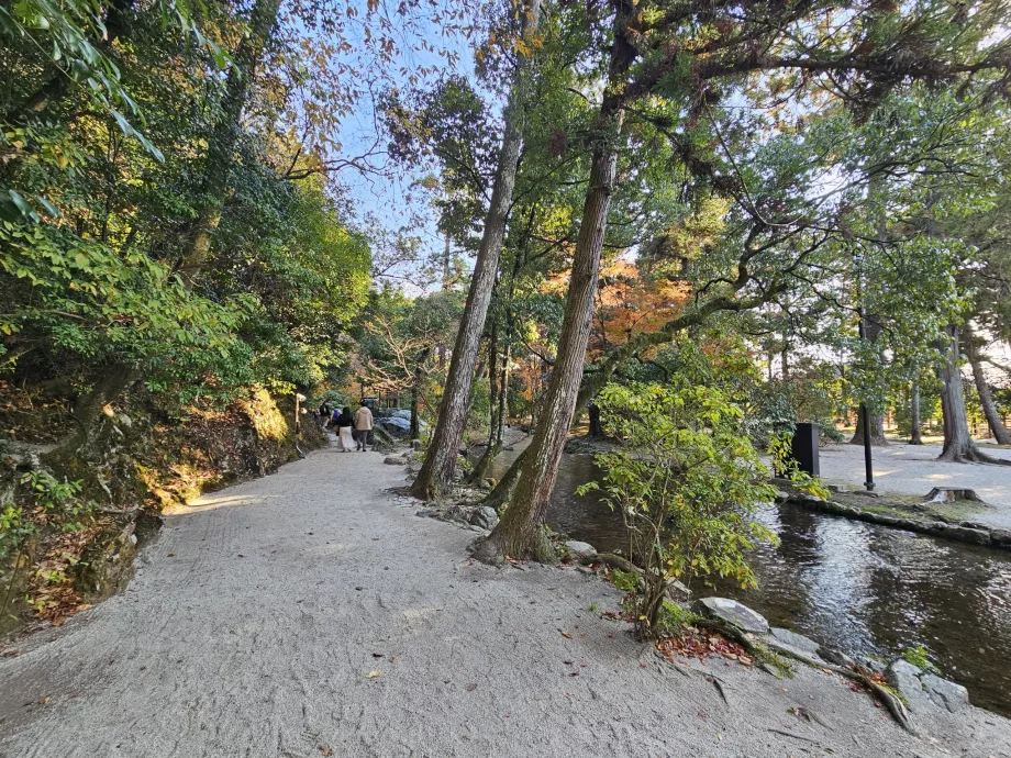 Камігамо-дзіндзя