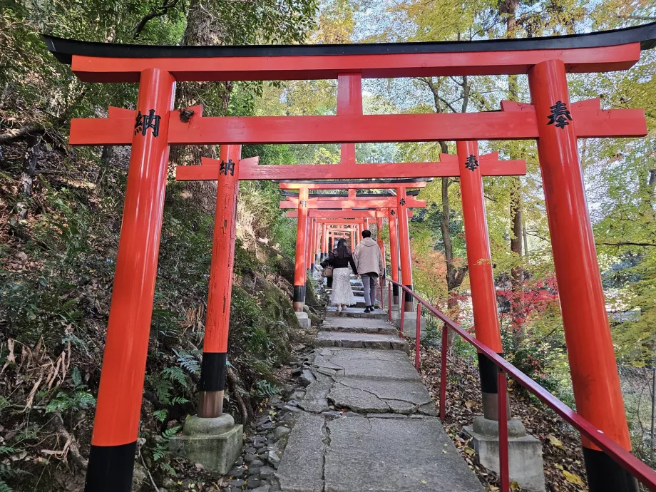 Камігамо-дзіндзя