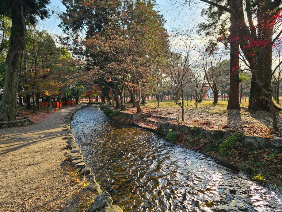 Камігамо-дзіндзя