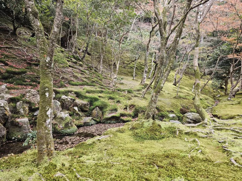 Гінкаку-дзі