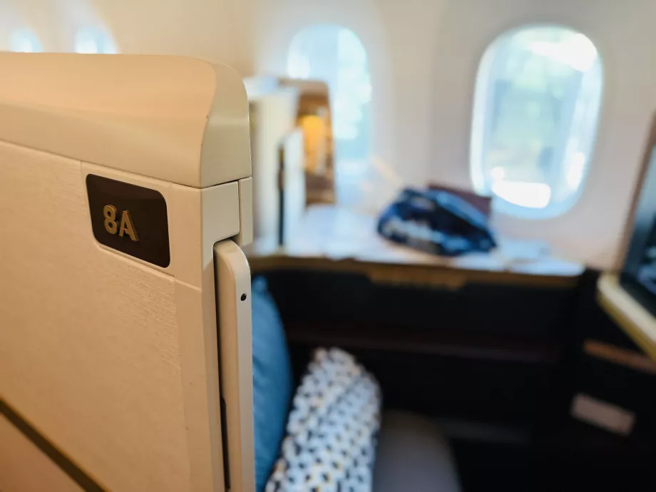 Моє сидіння 8A з деталями дверей