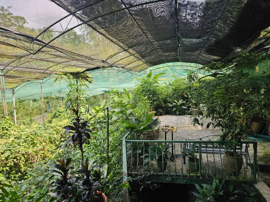 Парк метеликів
