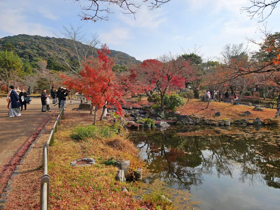 Парк Маруяма