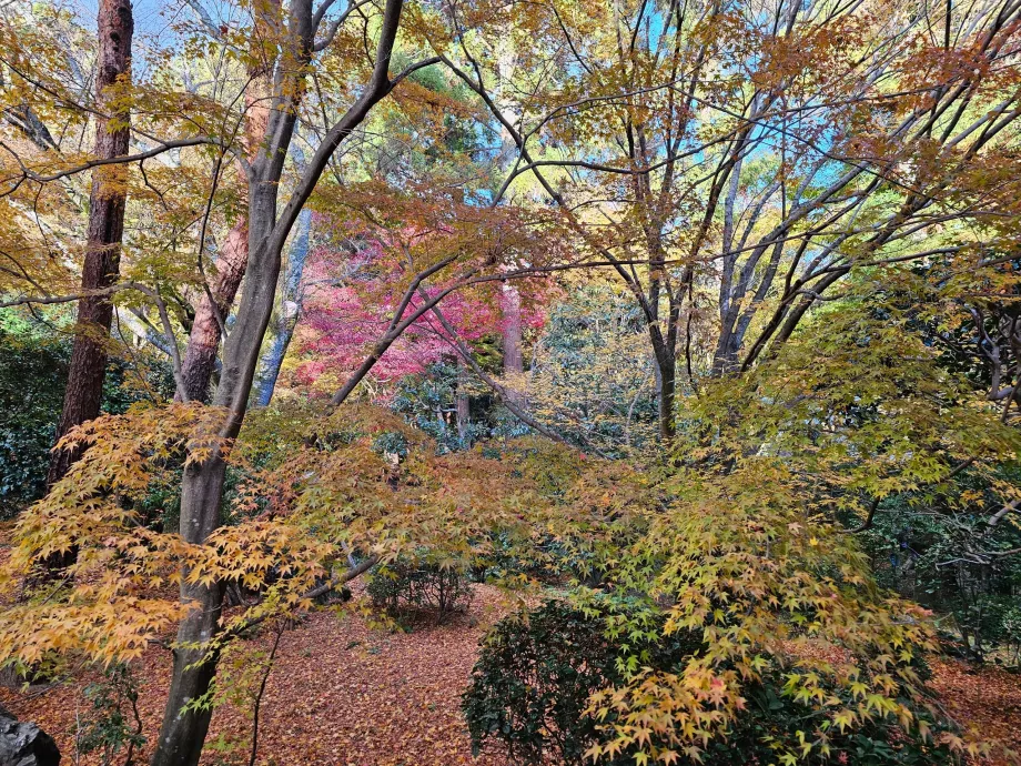 Храм Рьоан-дзі