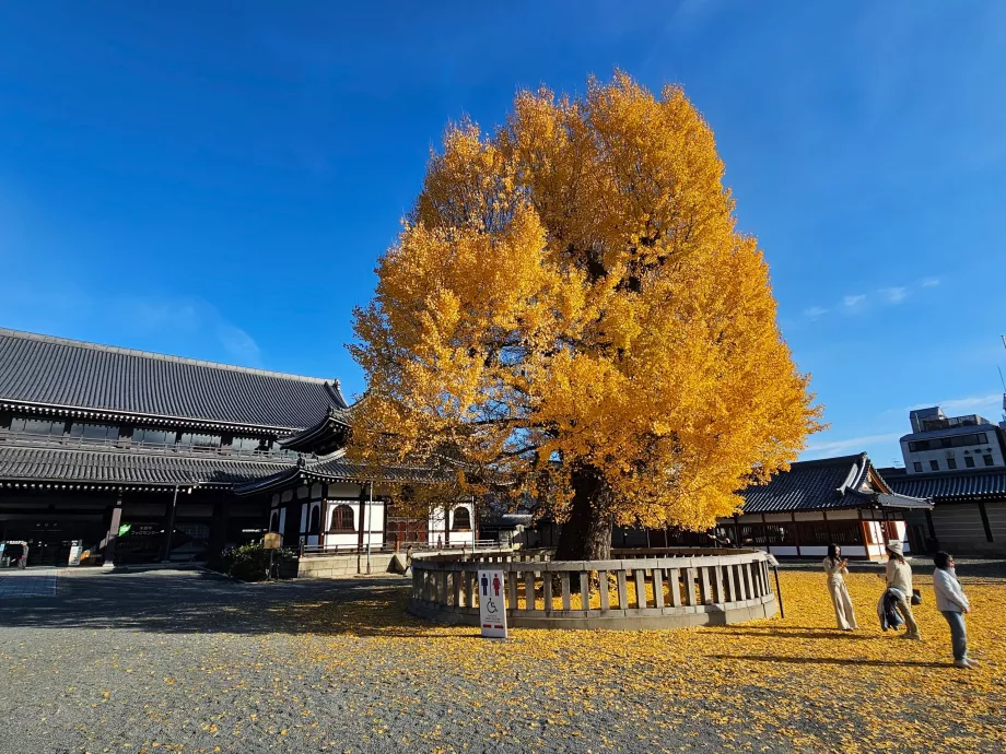 Ніші Хонган-джі