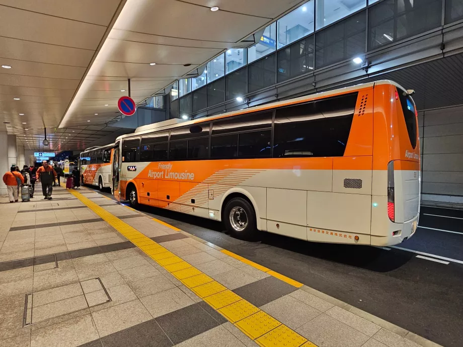 Автобуси-лімузини