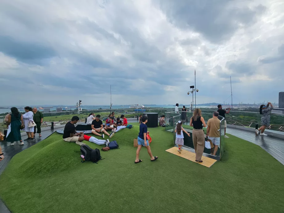 Обсерваторія Supertree