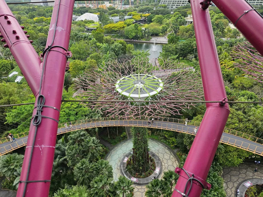 Обсерваторія Supertree