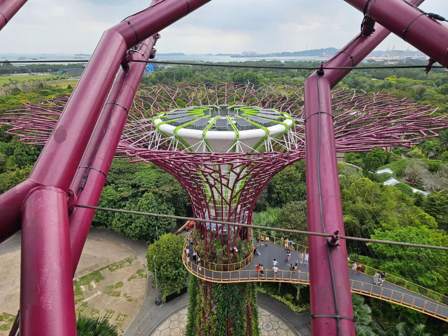 Обсерваторія Supertree