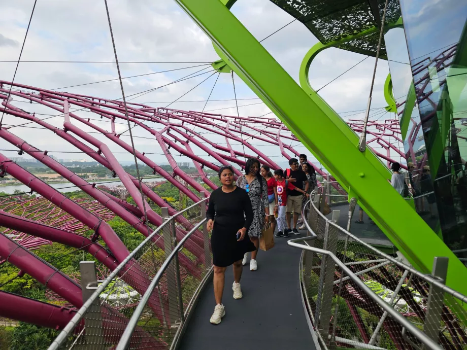 Обсерваторія Supertree