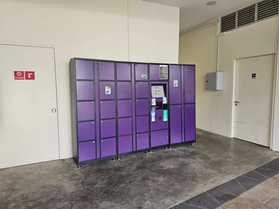 Камера схову біля головного входу