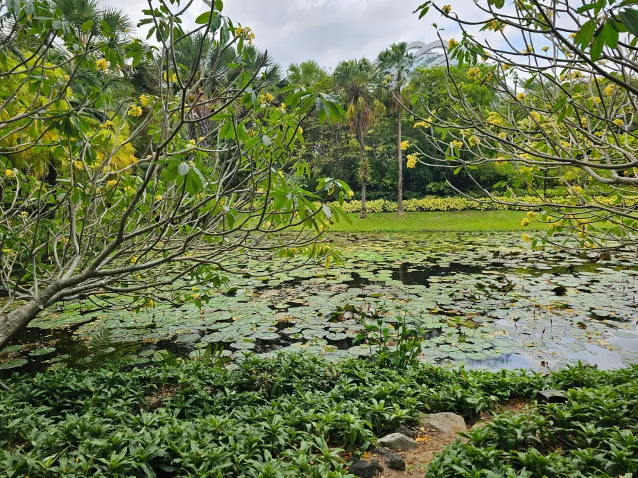 Сади біля затоки