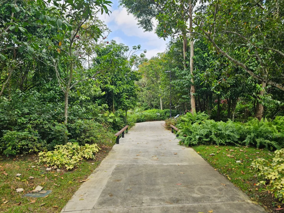 Сади біля затоки