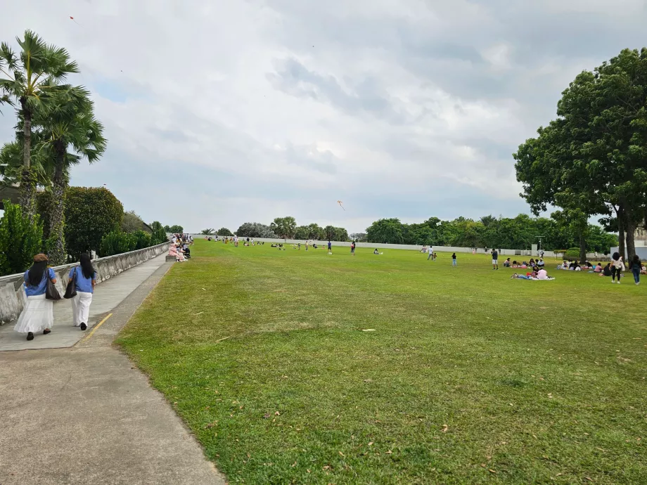 Марина Барраж