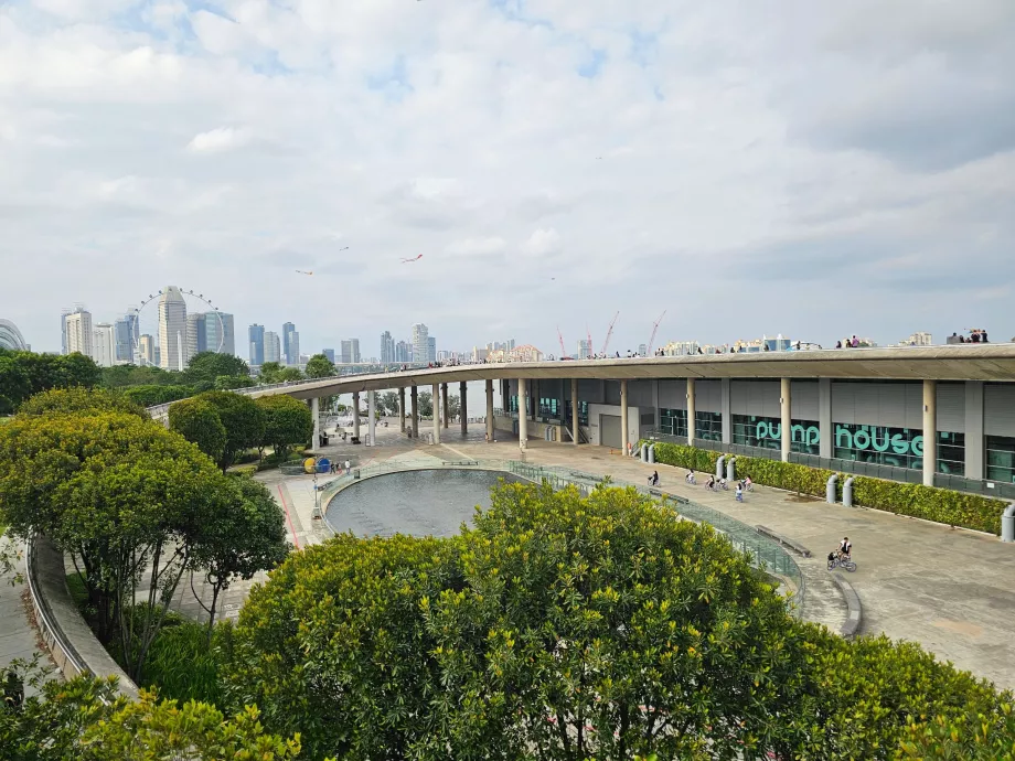 Марина Барраж