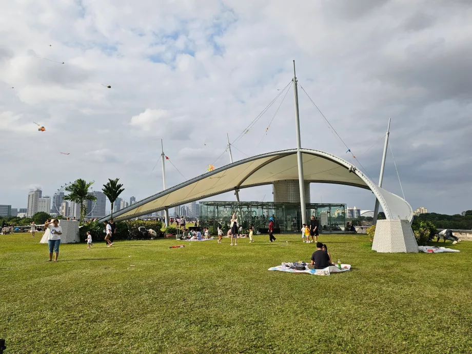 Марина Барраж