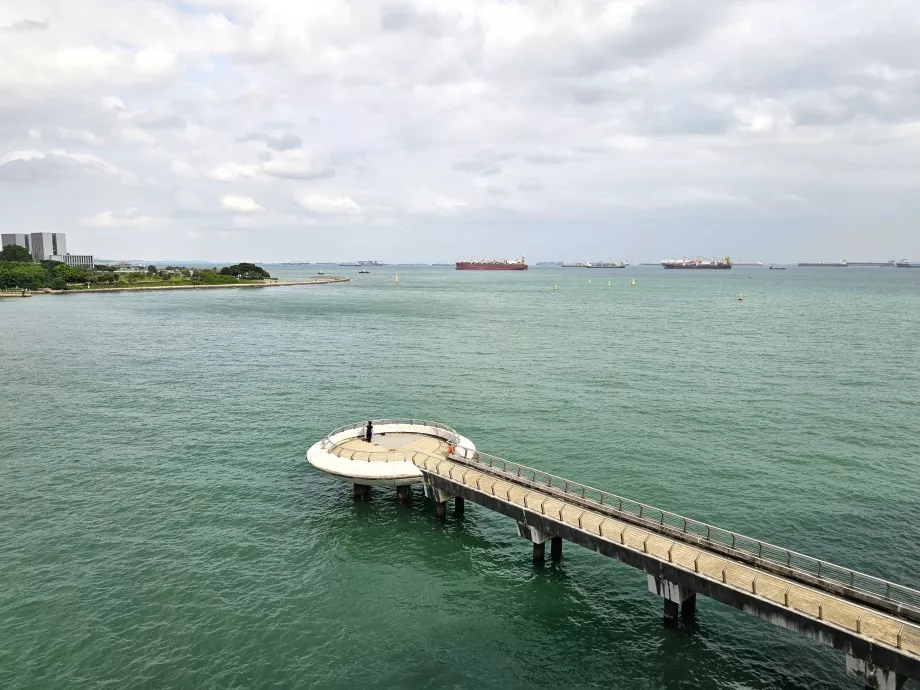 Марина Барраж