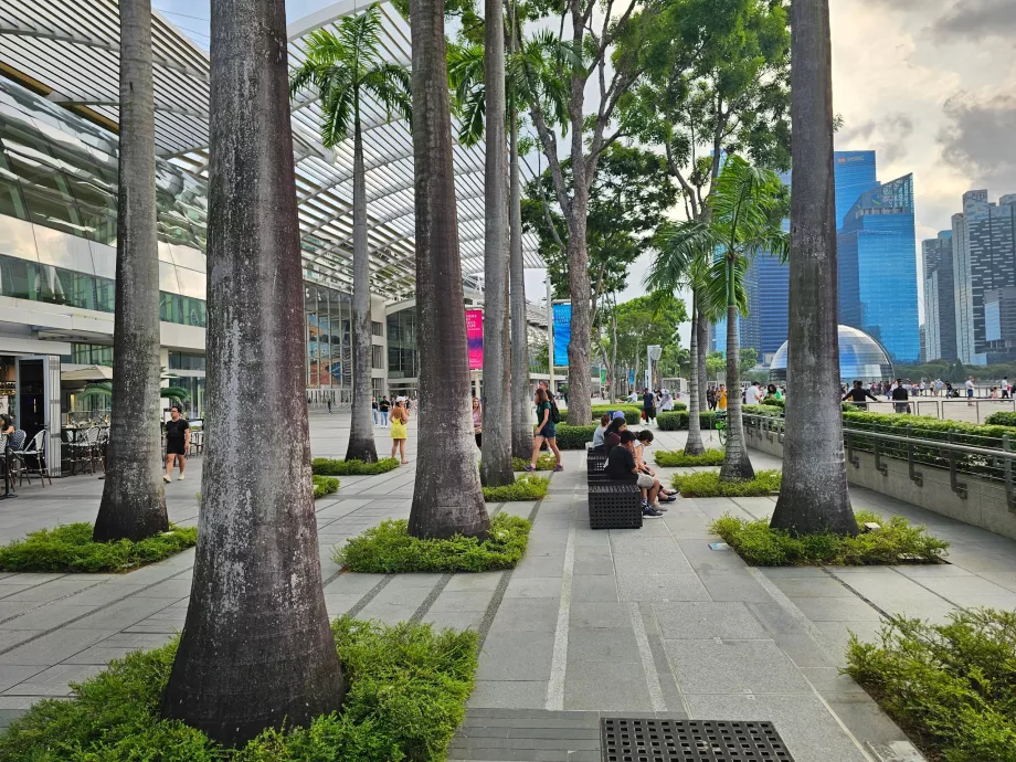 Променад перед MBS