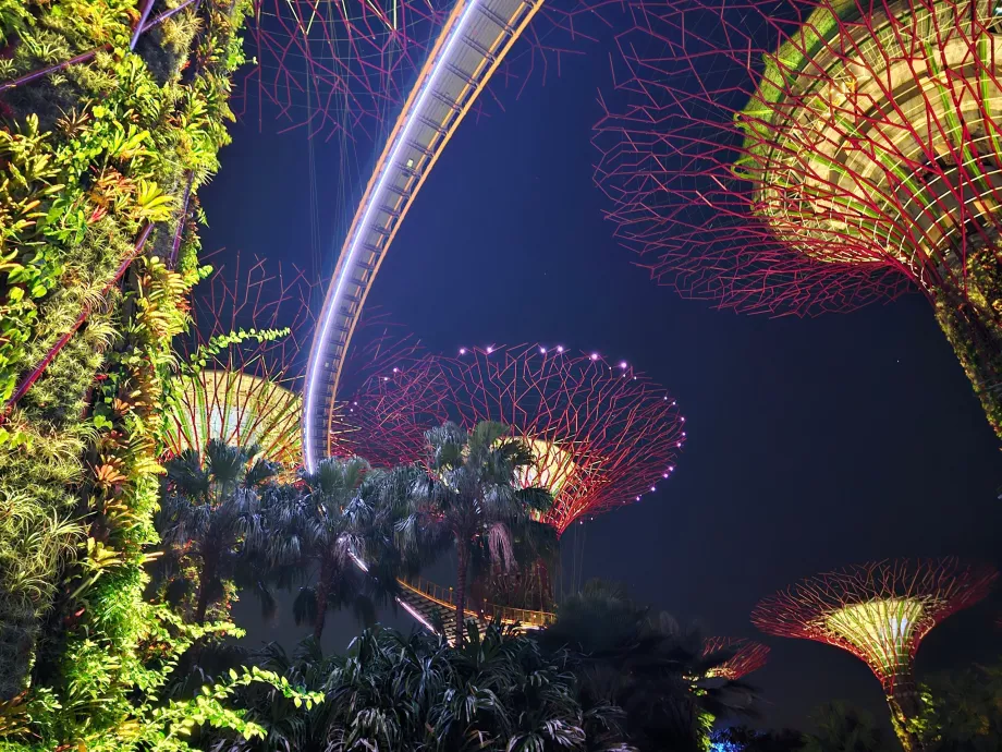 Садова рапсодія