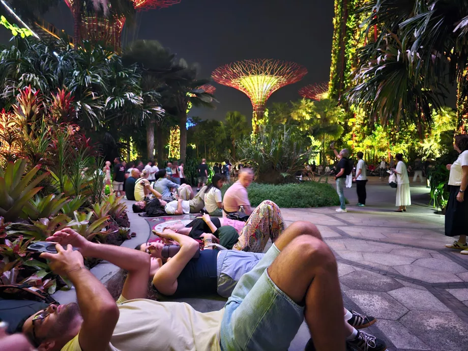 Садова рапсодія