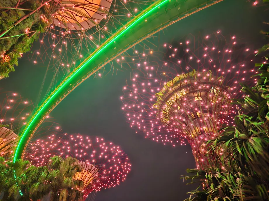 Садова рапсодія