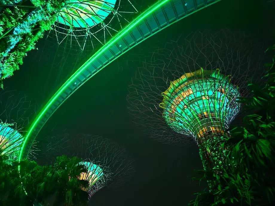 Садова рапсодія