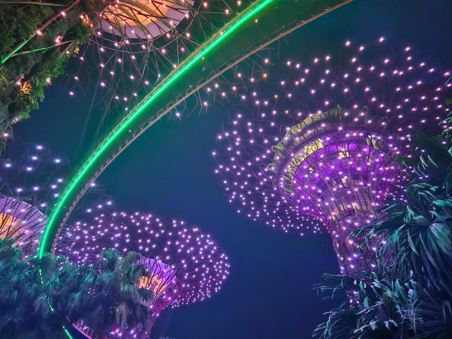 Садова рапсодія