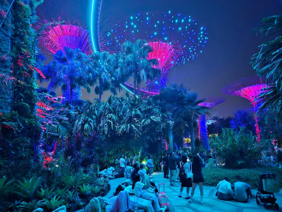 Садова рапсодія