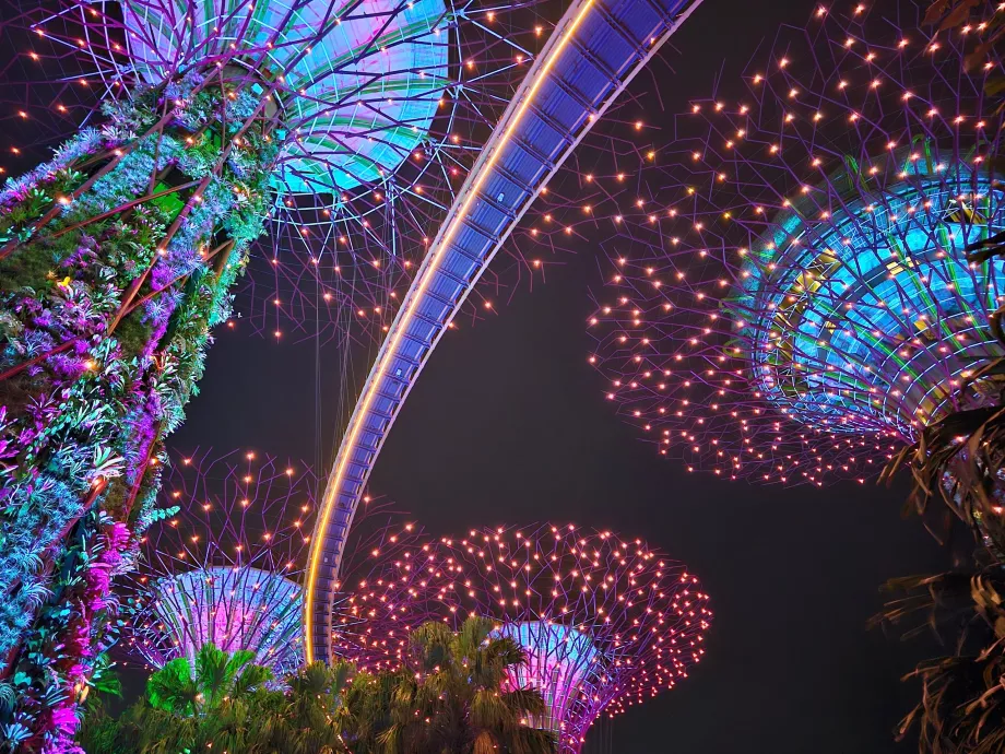 Садова рапсодія