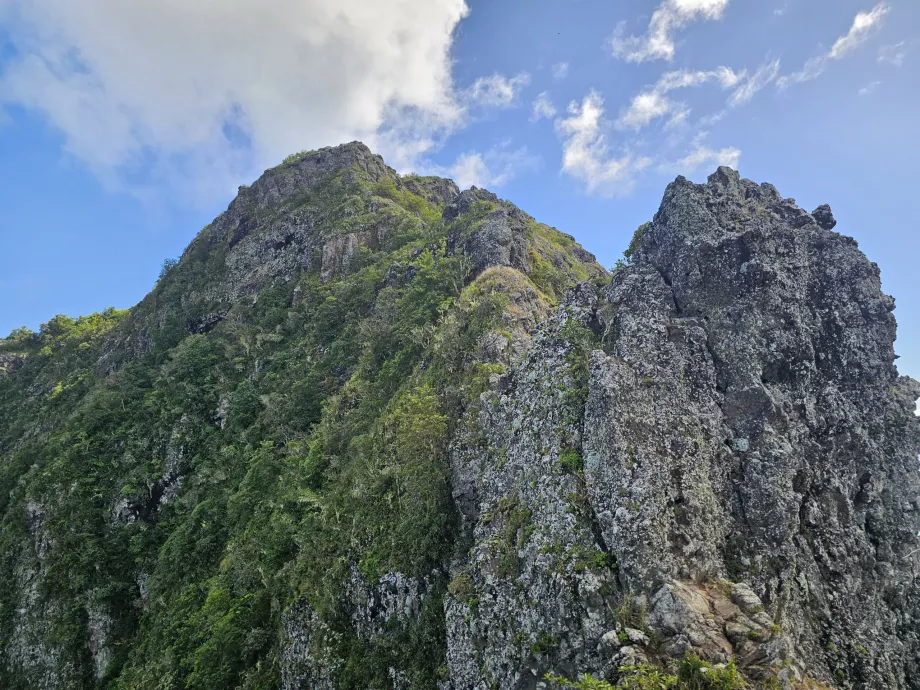 Справжня родзинка Le Morne