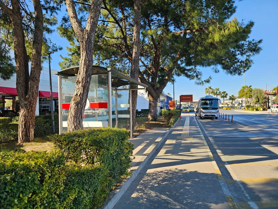 Зупинка міського автобуса перед Терміналом 1