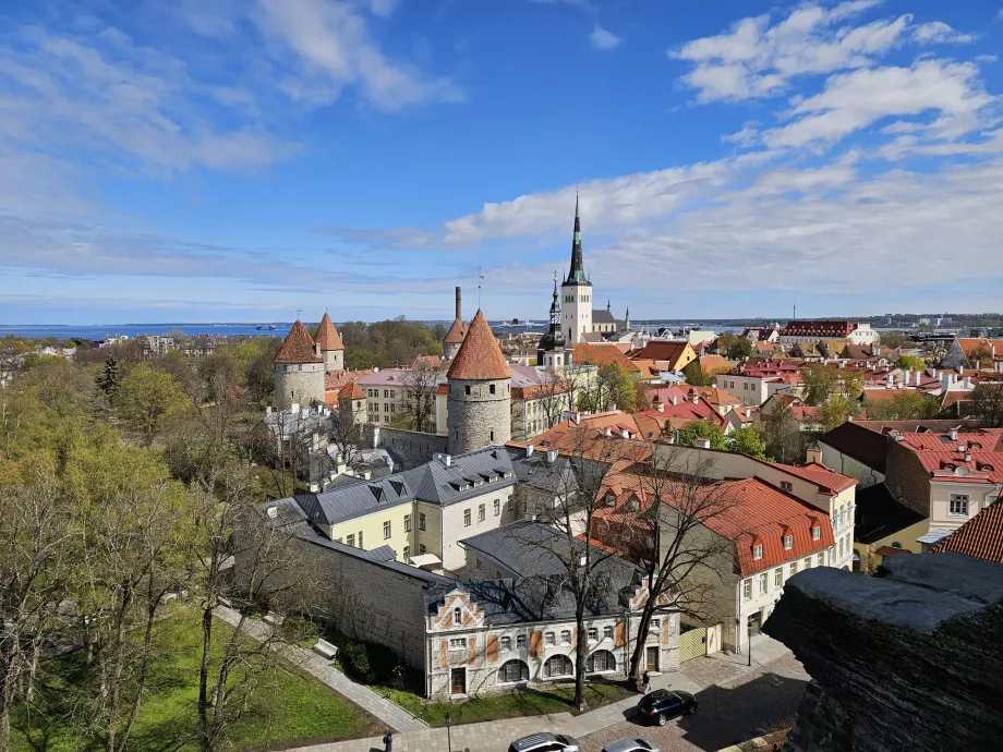 Паткулі