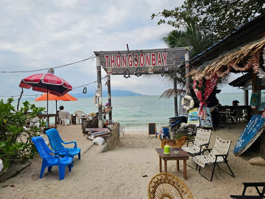 Затока Тонгсон