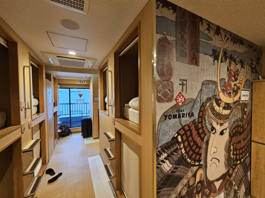 Загальна зона та капсула зверху