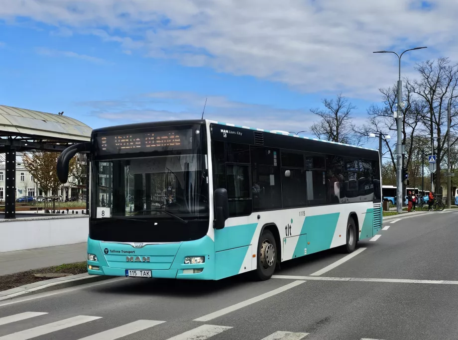 Автобуси Таллінн
