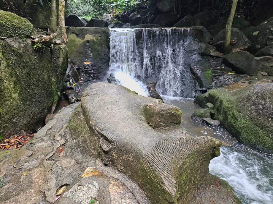 Чарівний сад Тамрін