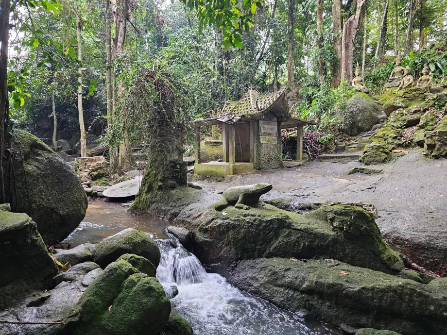 Чарівний сад Тамрін