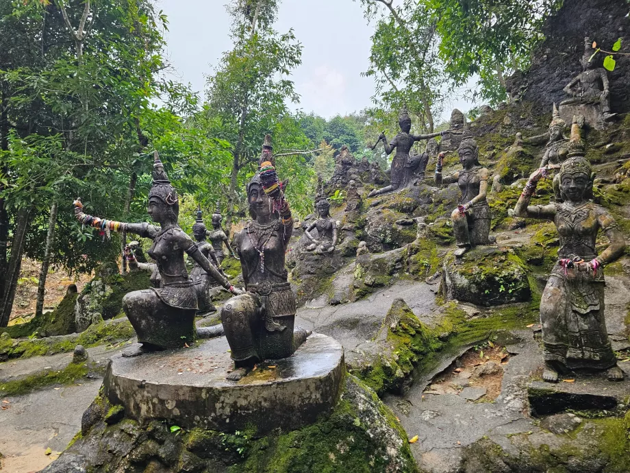 Чарівний сад Тамрін